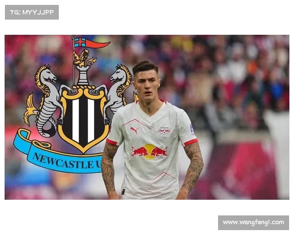 维萨转会纽卡斯尔进展顺利 谈判即将进入关键阶段