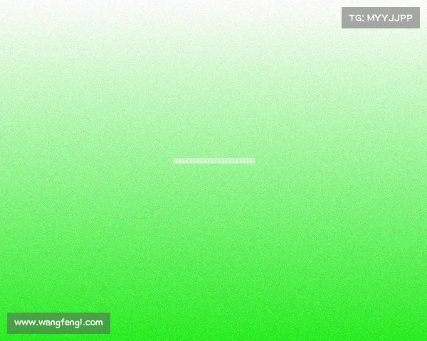 德甲裁判制度改革探索及其对比赛公平性的影响分析